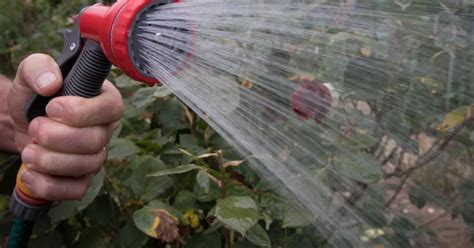 hosepipe ban crawley|Everything you need to know about the hosepipe ban。